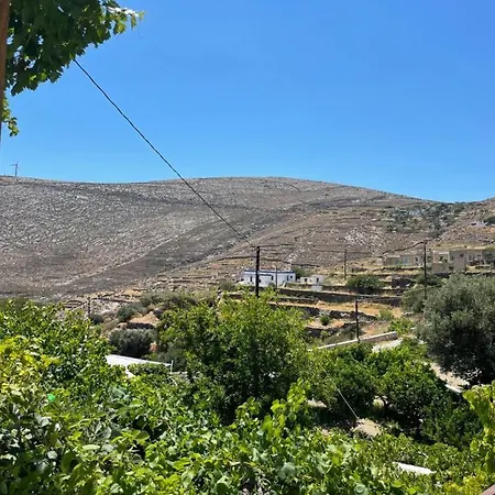 Carmen's Foinikia (Syros)